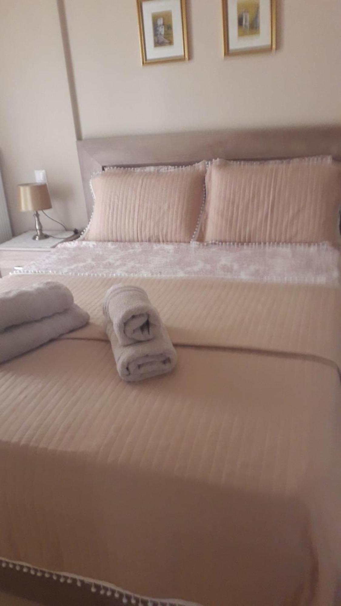 Giorgio House Meteora Apartment กาลัมปากา ภายนอก รูปภาพ